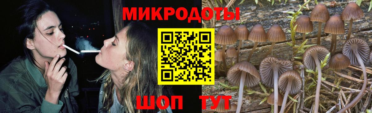 Псилоцибиновые грибы Cubensis  Вход с VPN  Волоколамск 